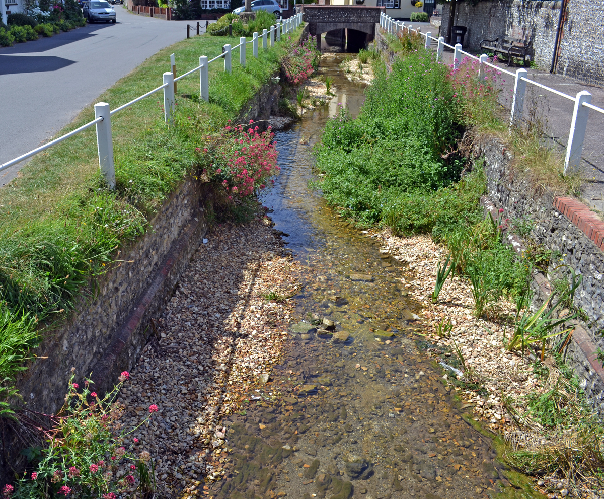 East Meon River Banks